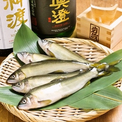 【信州（天竜村）川魚】岩魚の炭火一本焼き/鮎の炭火一本焼き