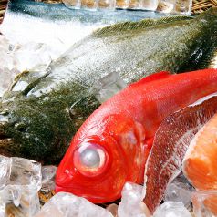 新鮮魚介が目白押し！*おがわの刺身が「特別」な理由*