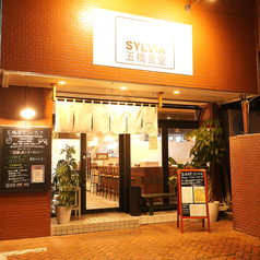 五橋食堂SYLVIA シルヴィアの雰囲気1