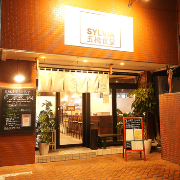 五橋食堂SYLVIA シルヴィアの雰囲気1