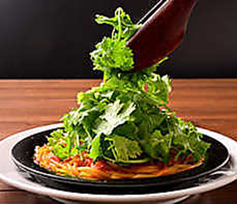 Italian Kitchen VANSAN COTOE R̐XX