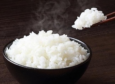 ライス　普通盛り