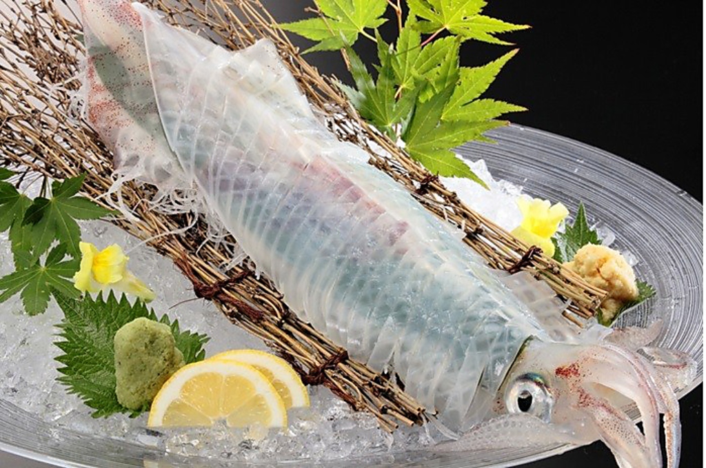 多摩センターで活イカが食べれる店　函館産　活イカを取扱始めました　イカの価値観変わりますよ