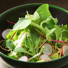 大人のための香味野菜