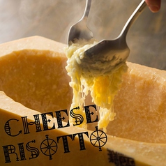 チーズビストロブーズアップ Cheese Bistro BOOZE UP 伏見店のコース写真
