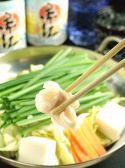 九州の地魚料理 侍 赤坂店の詳細