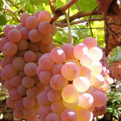 Casval　錦糸町店の写真3