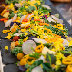 SEC セックグリーンスプリングス のコース写真