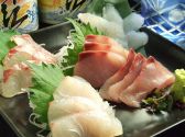 九州の地魚料理 侍 赤坂店のおすすめ料理2