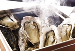 牡蠣のがんがん蒸し