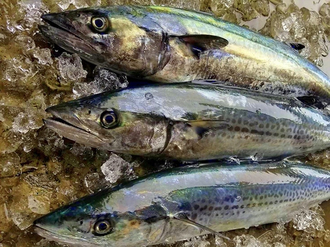 �������Ƃ�����