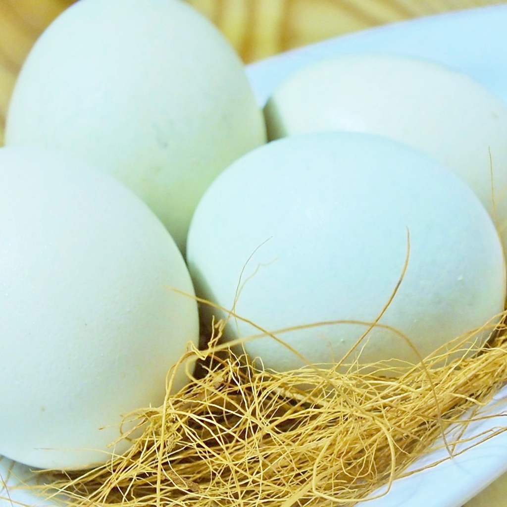 幸せの青い玉子など、珍しい食材も！