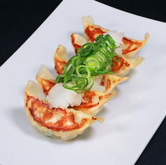 ゆかりの大阪ねぎ餃子(5ケ)