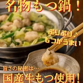 もつ擴のおすすめ料理2