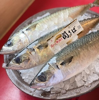 大将が市場で目利きする瀬戸内と全国の極上鮮魚