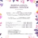 SHISHA SYSTEM