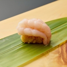 甘エビ