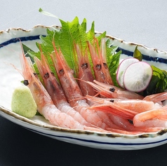 甘エビのお刺身