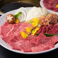 【3～4名様向け】特上大盛りセット〈500g〉