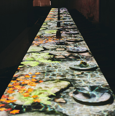 FARM TO TABLE KANBE ファームトゥテーブル カンベの雰囲気2