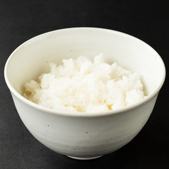 白ごはん(中)