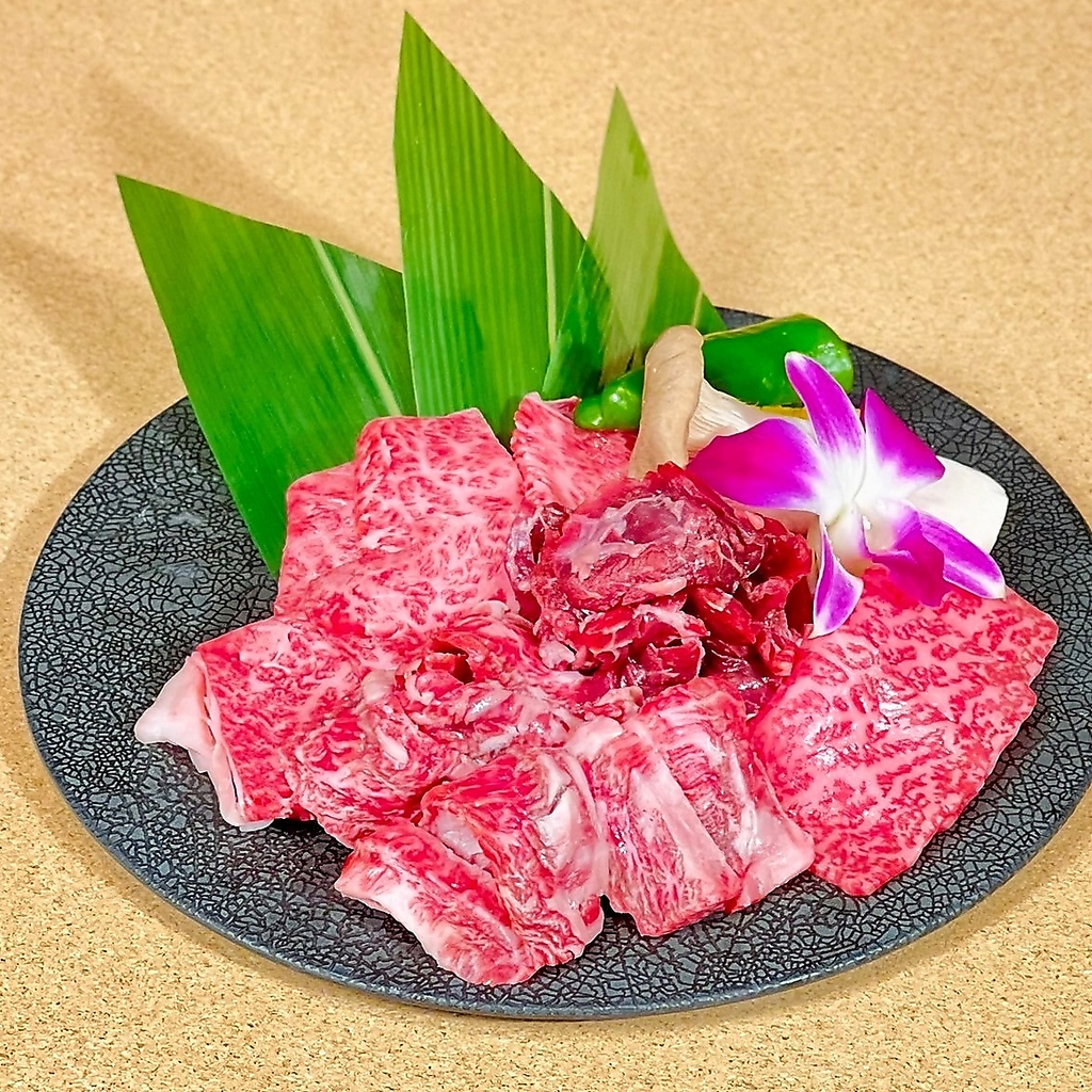 希少部位や最高ランクのお肉も食べられる！！感激の焼肉食べ放題を思い切り堪能！！