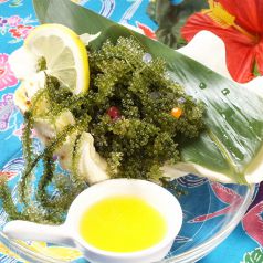 沖縄創作料理 京琉酒彩 海月の写真3