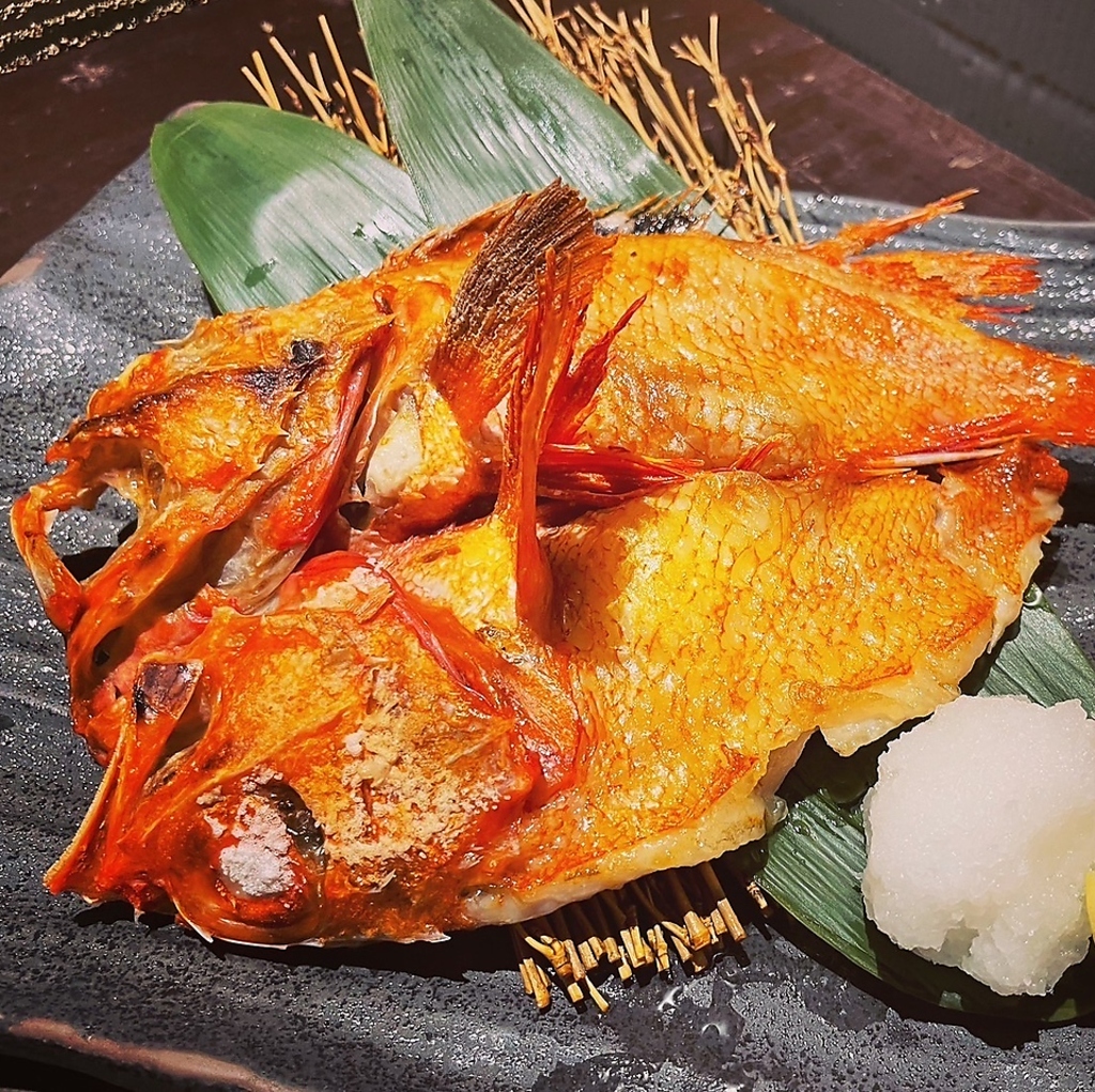 本きんき炙り焼きなど特選素材を使用したお料理も承ります