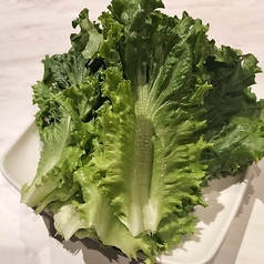 レタス