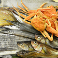 料理メニュー写真&nbsp;◇刺身盛り合せ産地直送の天然鮮魚を一番美味しい状態で…