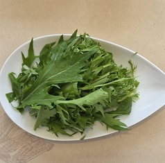 水菜