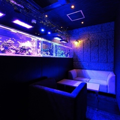 【2階・半個室・ソファー席/2名様～3名様】壁一面に広がるアクアリウムが、店内に癒しの空間を演出。色とりどりの魚たちが泳ぎ、リラックスできる場所を提供します。お料理はこだわりのお肉を使用。お料理は「ローストビーフ」がおすすめです♪是非ご来店ください！