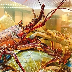 香港海鮮料理　椰林（やーりん）三宮店の写真2