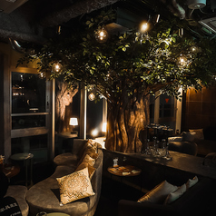 シーシャカフェ&バー muse 六本木店の特集写真