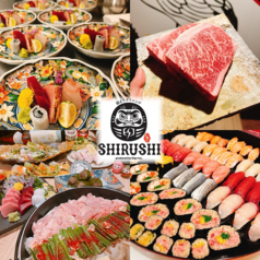朝までダイニング SHIRUSHI特集写真1