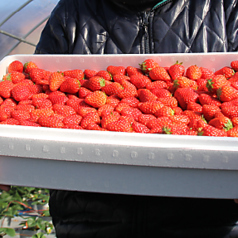 お酒もソフトドリンクも地産地消で☆