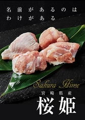 桜姫の写真