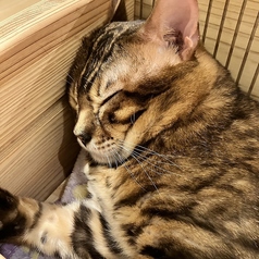 【休日】1時間セットコース