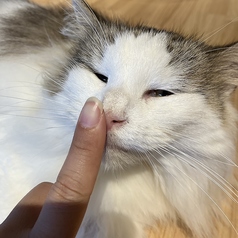 【休日】フリータイムコース