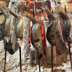海鮮原始焼 ろば炭魚 赤羽本店の特集写真