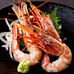 赤海老お造り