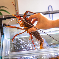 食材へのこだわりと独自の仕入れ