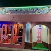 ハナミズキの詳細