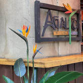 カード利用が可能なので、現金がなく急な外食でも安心してご利用いただけます。さらに、QRコード決済も対応しており、PayPayをご利用いただければ、スムーズにお支払いができます。多様な決済方法を用意し、皆様に便利で快適なお食事の時間を提供しています。気軽にお楽しみください。心よりご来店をお待ちしております。