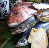 産地直送の新鮮魚介を使用！季節によって様々な魚介をお楽しみください！お得なご宴会プランもご用意してます！！お問い合わせ、ご相談は011-215-1499までお気軽にご電話ください！！（札幌/大通り/すすきの/居酒屋/海鮮/日本酒/焼酎/宴会/飲み放題/焼き鳥/肉/魚/炎/二次会/田酒/黒龍/獺祭/風の森）