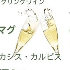 ポールスタープレーン