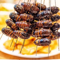 焼き蚕のサナギ串