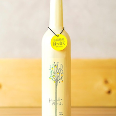 はっさくロックス