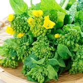 和食バル はれるや HARERUYA 北1条店のおすすめ料理2