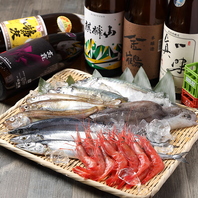 新鮮な海鮮料理を取り揃えております◎